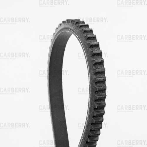 CARBERRY (13X925) Ремень клиновой