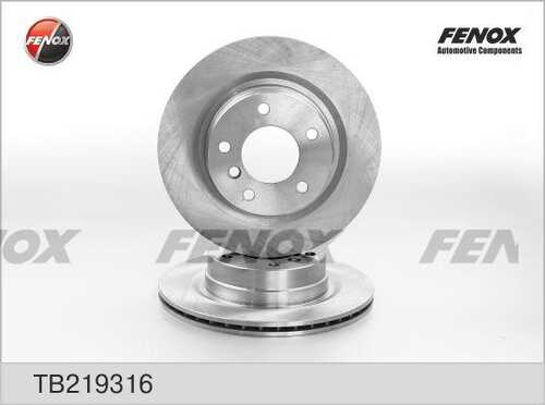 FENOX (TB219316) Диск тормозной BMW 1 E81/E87/3 E90/91 1.6-3.0 05- задний вент. D 300мм.