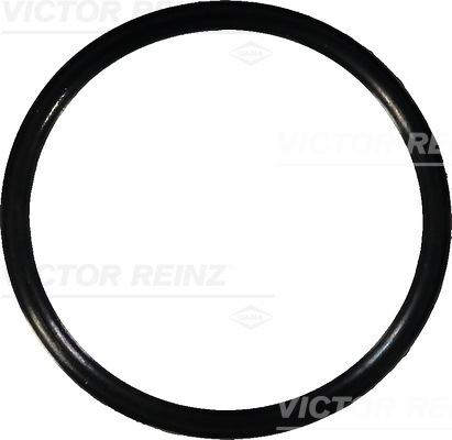 VICTOR REINZ (407636700) Уплотняющее кольцо